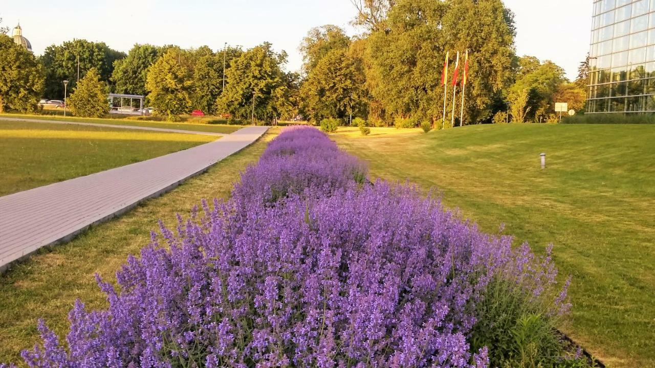 Wilanow Apartment Varşova Dış mekan fotoğraf